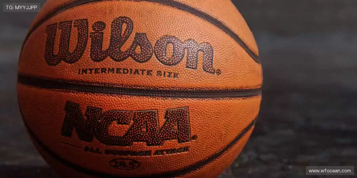 🎾 运动装备,品质之选!从赛场到生活,陪伴你的每一步👟